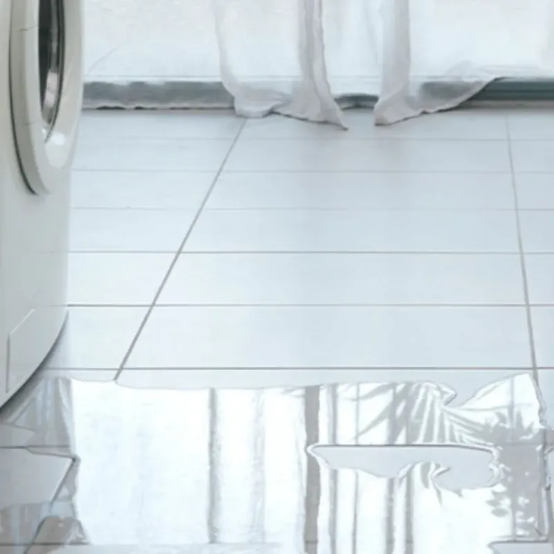Appliance Leak Cleanup in Dorchester County, SC