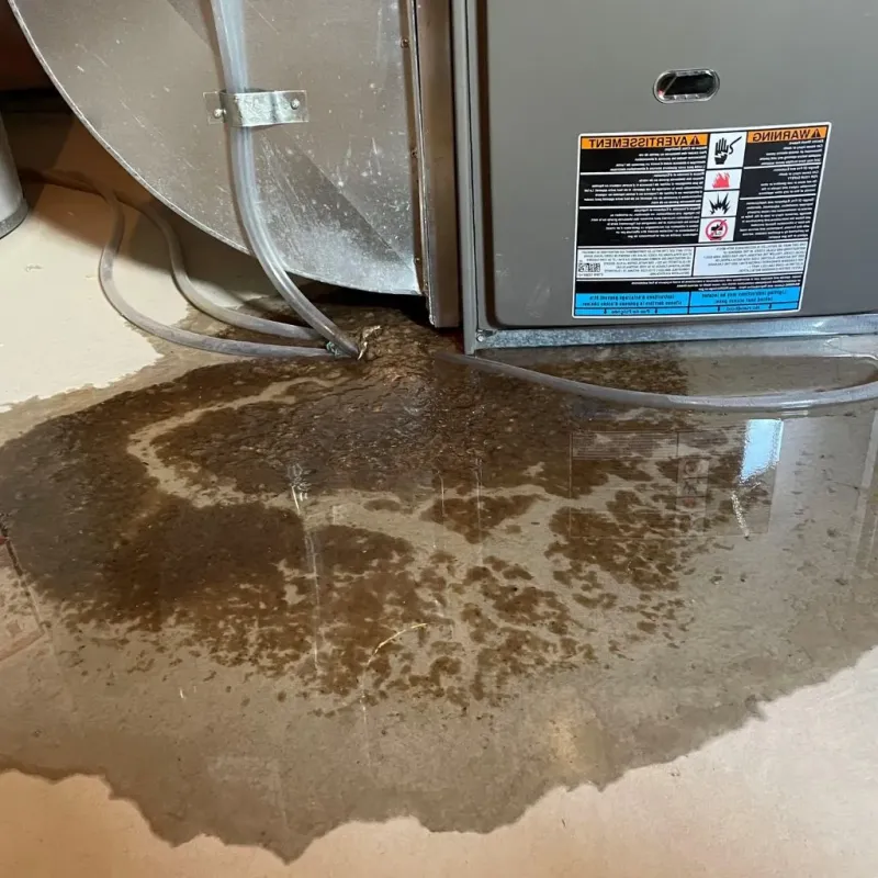 Pipe Burst and Leak Restoration in Dorchester County, SC